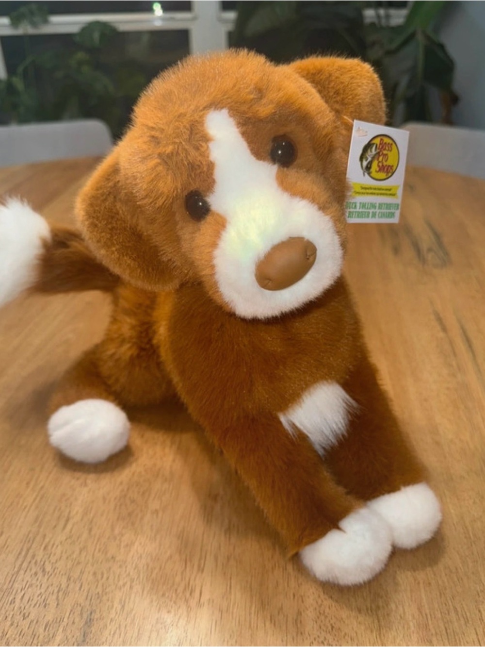 Bass Pro Shops Douglas Cuddle Toys Duck Tolling
Retriever Plush Dog NWT Trolling